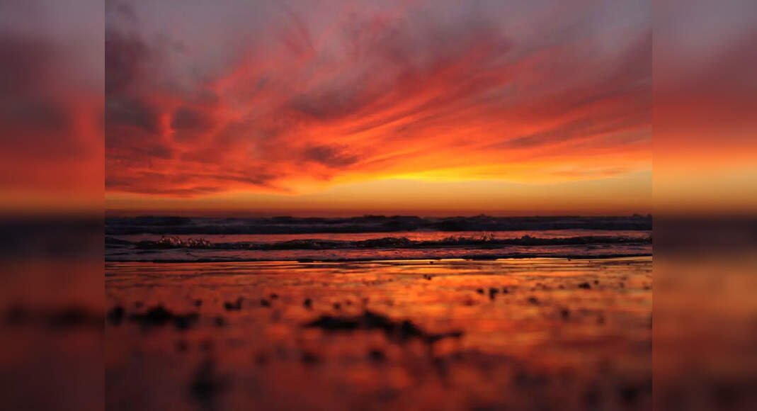 Discovering the charms of Palolem Beach in South Goa, - Times of India