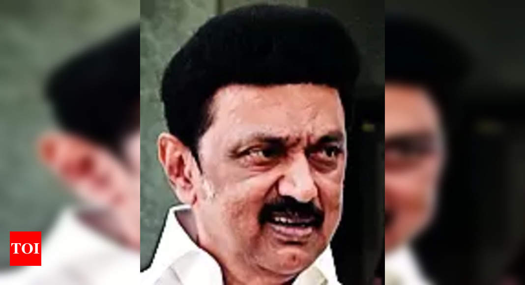 Winnable Candidates DMK Chief Stalin Only Winnable Candidates to Get