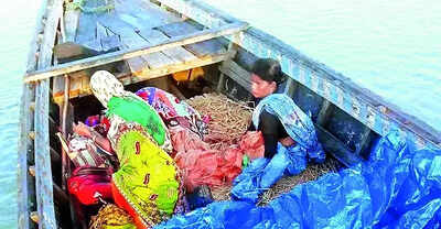 Woman Gives Birth On Boat: Woman Gives Birth on Boat | Ambulance Fails