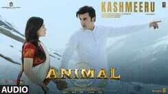 Animal | Telugu Song - Kashmeeru (Audio)
