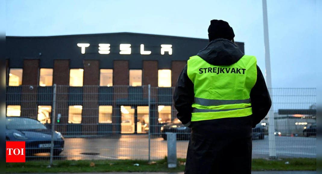 Tesla sues Sweden over blocked license plates amid strike