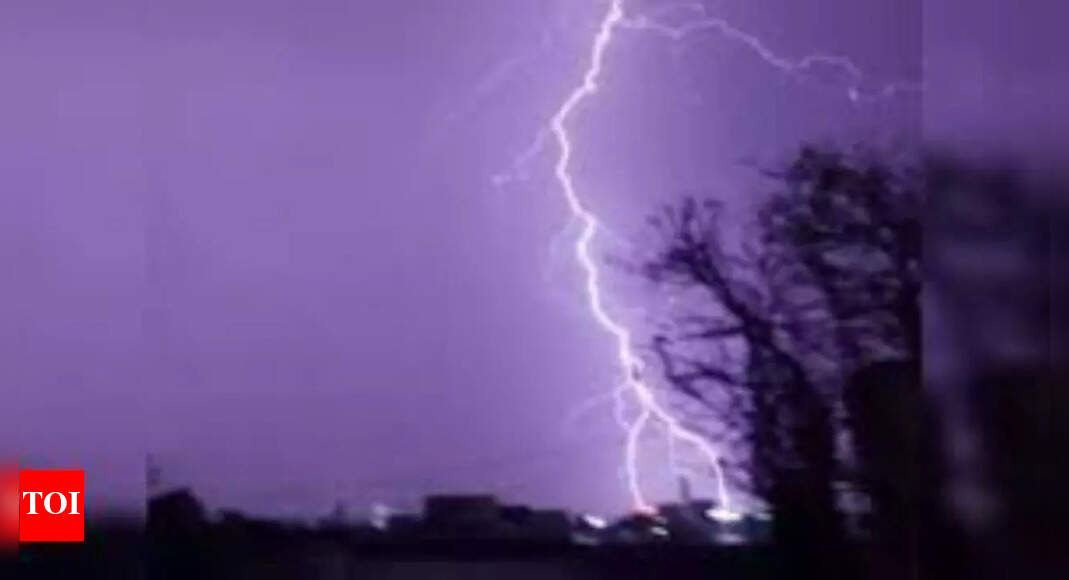 Lightning strikes kill 27 in Gujarat; govt to assess damage to crops ...