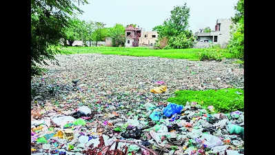 Sarpanch to chief secy, NGT issues notice on pond pollution in Alamgir