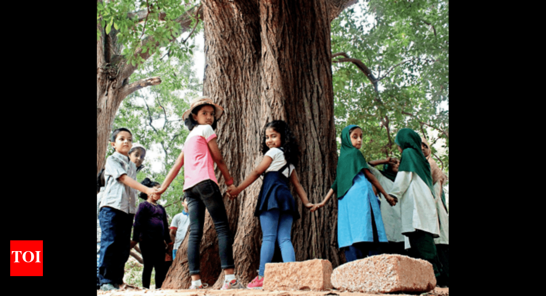 With focus on sustainable living, B’luru gets climate action plan ...