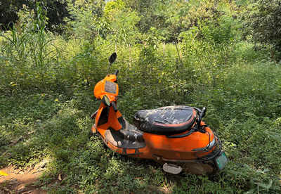 Tesla electric lawn online mower