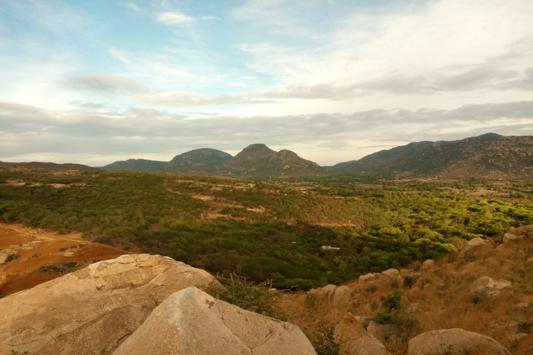 Horsley Hills