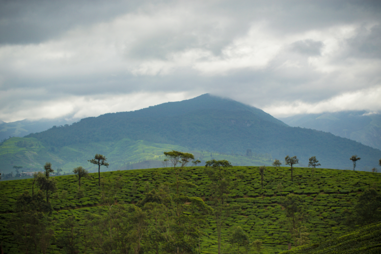 Valparai