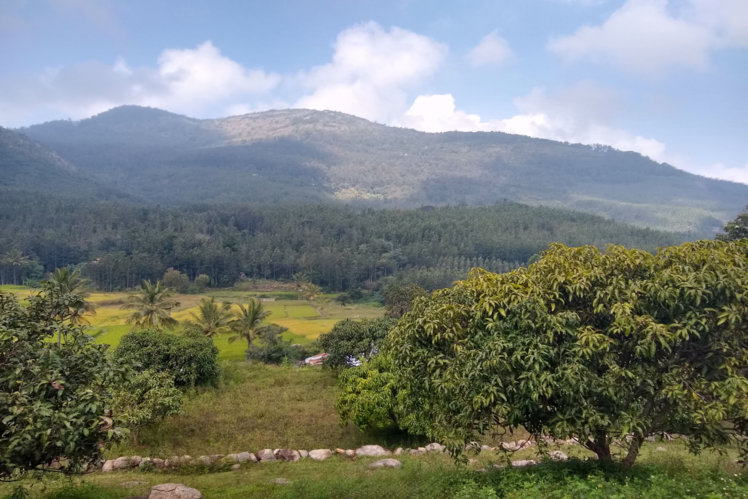 Yercaud