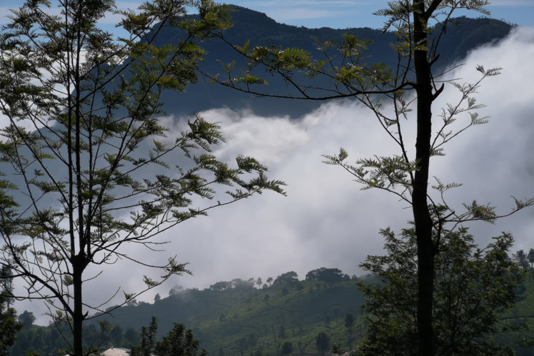 Coonoor