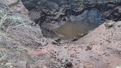 Crocodile captured from well near Coimbatore