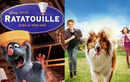 Animal stars in cinema