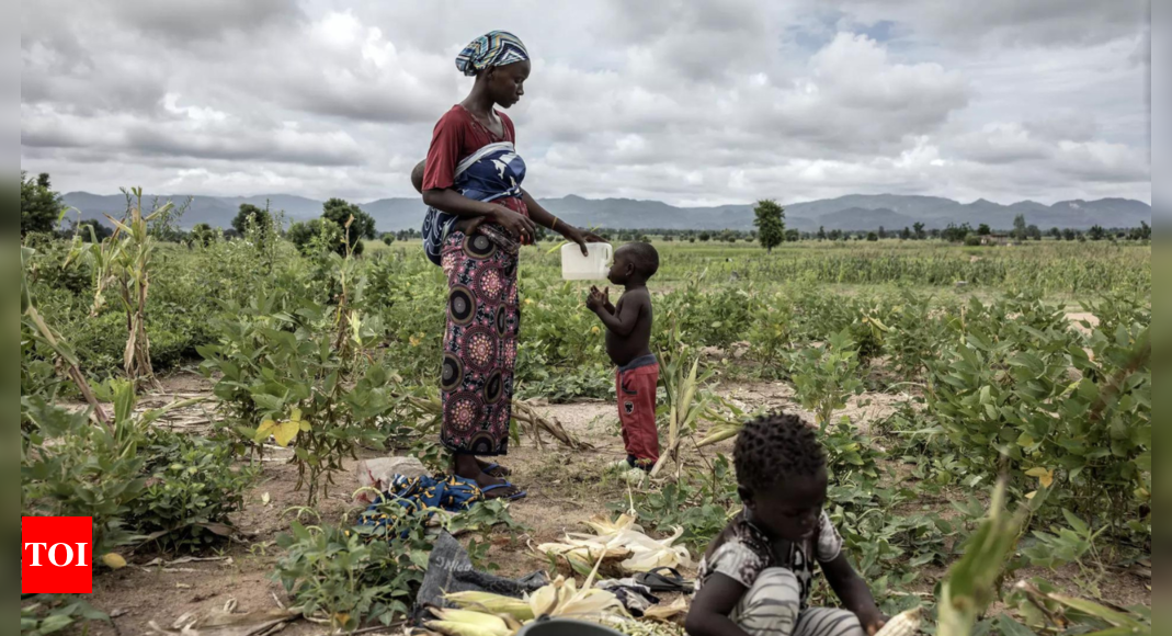 Climate crises drove 27 million children into hunger in 2022: charity