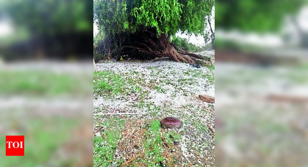 Crops: Crops over 4 lakh hectares likely damaged: Agri minister ...