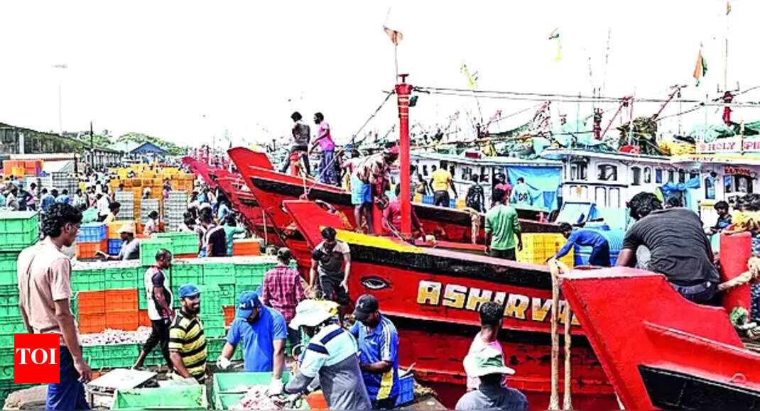 Fishing Industry: Declining Fish Catch in Mangaluru: Implications for ...