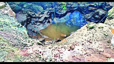 Forest department rescues crocodile found in farm well