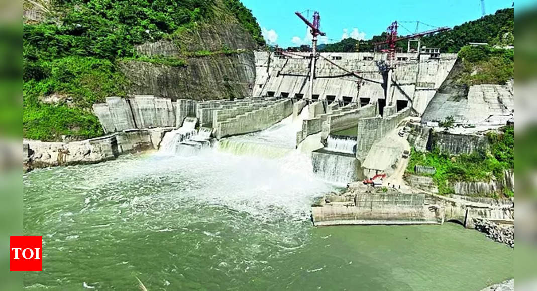13 Hydel Projects Coming Up In Arunachal: Minister