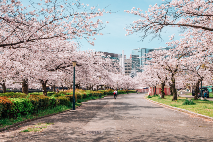 Kema Sakuranomiya Park, Osaka