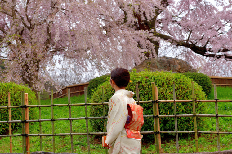 Maruyama Park, Kyoto