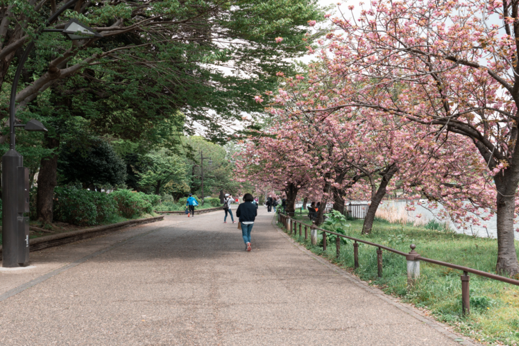 Ueno Park, Tokyo