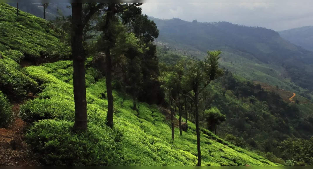 Everything you need to know about India’s famous Char Dhams, Tamil Nadu ...