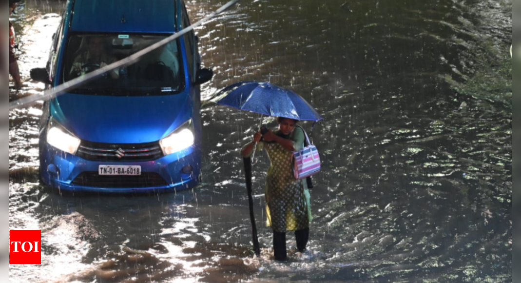 Chennai Schools Closed: Holiday Declared For Schools In Chennai And Its ...