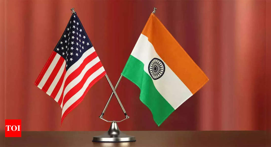 US Issued Visas: US issues record-breaking 140,000 visas to Indian ...