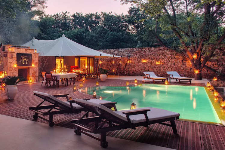 Luxury wildlife stays that you must try out this season | Times of ...