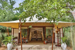 Luxury wildlife stays that you must try out this season