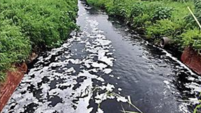 Pollution: Drains, Industries Making West Up Rivers Toxic: Cpcb ...