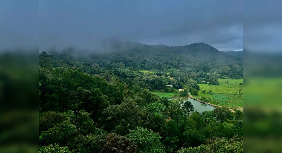 Coorg Jungle Mist, Madikeri – Updated 2024 Prices