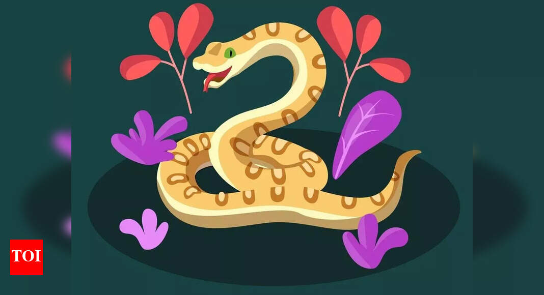 Taurus Horoscope Prediction 2024 as per Chinese Astrology | - Times of ...