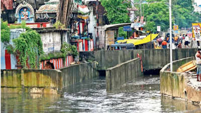 Tamil Nadu: Clogged canals led to some flooding