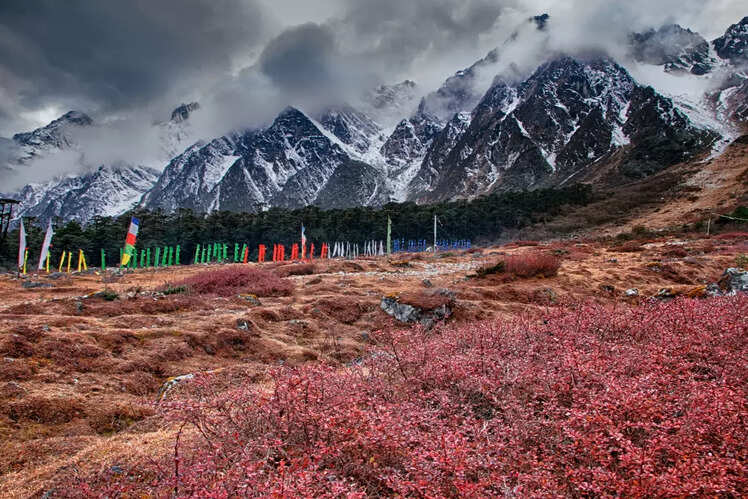 Yumthang Valley in winter