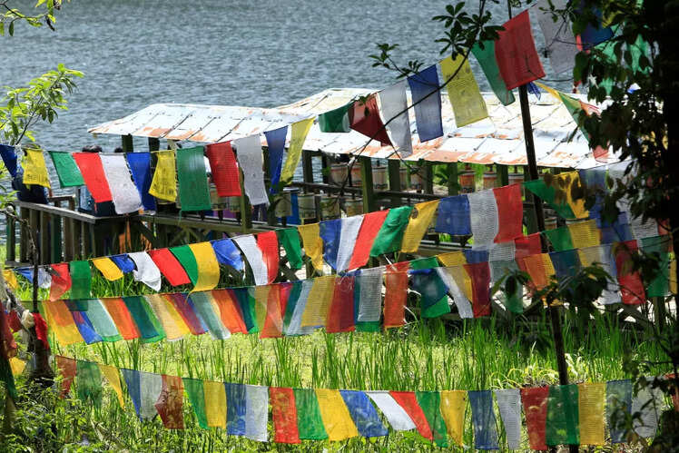 Bird watching at Khecheopalri Lake