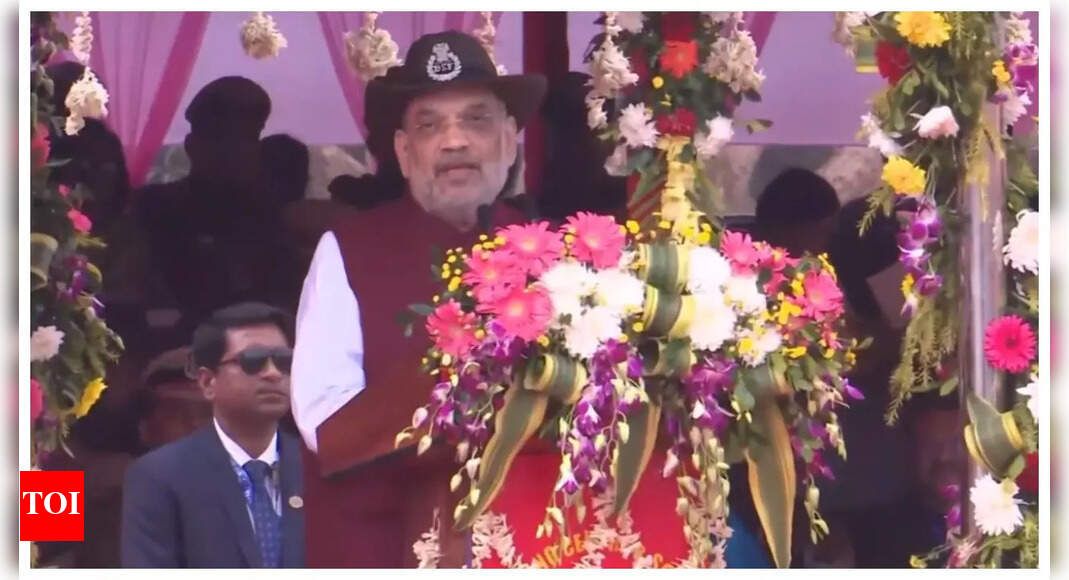 All gaps along Pakistan, Bangladesh border to be plugged over next 2 years: Amit Shah