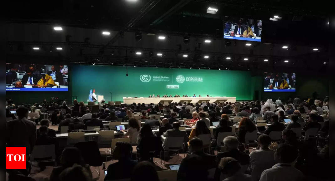 With 80,000 Attendees, COP28 Is Largest UN Climate Summit Ever - Times ...