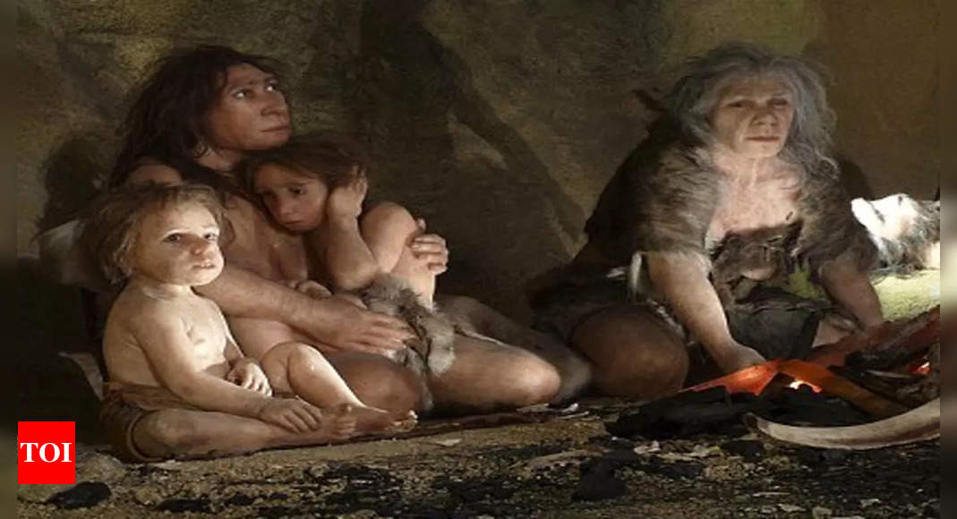 Castors : percée archéologique : des os vieux de 400 000 ans révèlent des hominidés se nourrissant de castors