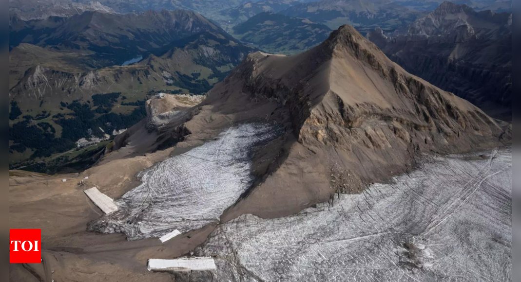 Black carbon accelerated the melting of snow and ice in critical regions: Report