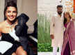
Sanjay Leela Bhansali's niece Sharmin Segal shares elegant wedding pictures with partner Aman Mehta ; Priyanka Chopra and Armaan Malik pour love and wishes
