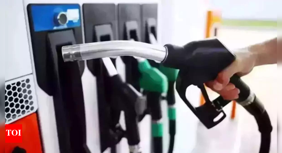 Diesel sales slip, demand for petrol, power surges – Times of India