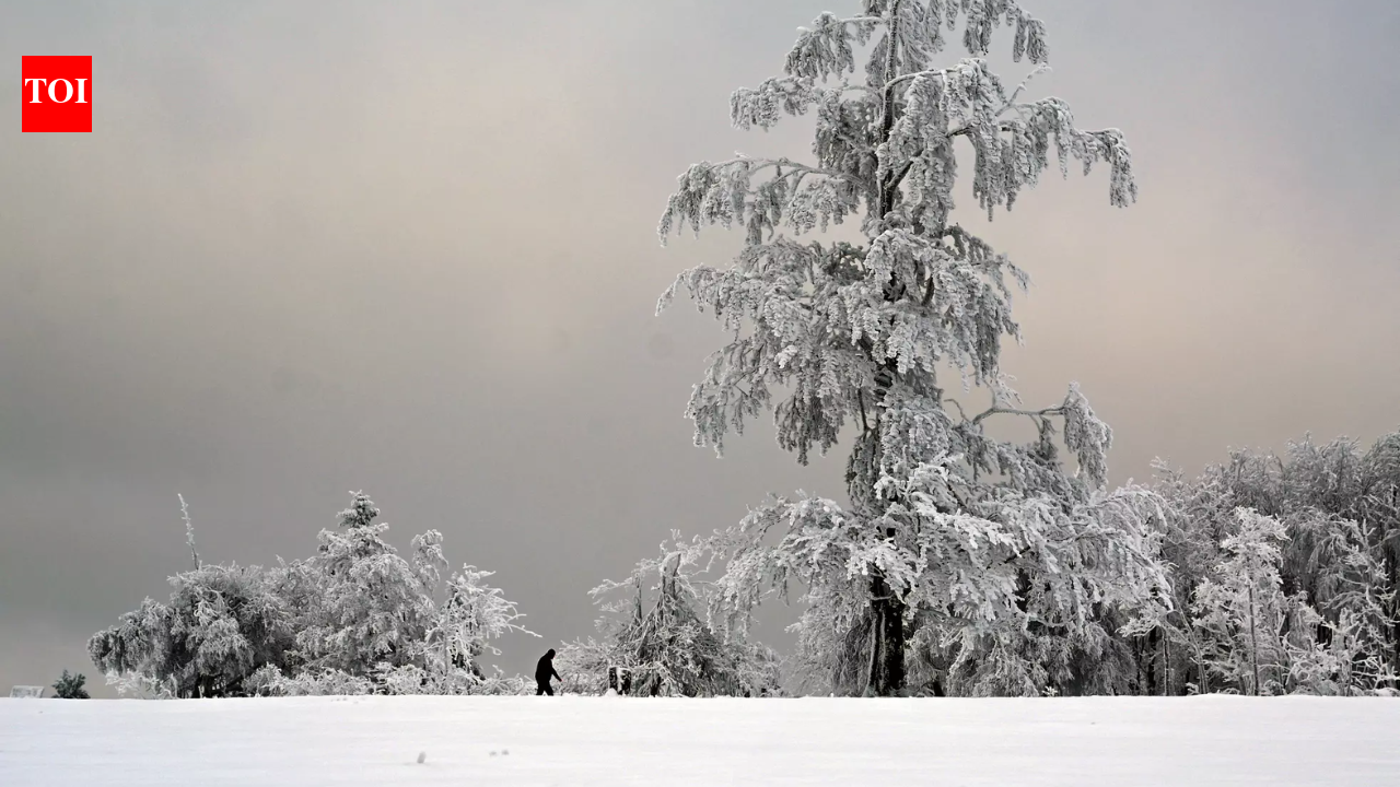 Germany turns white after heavy snowfall, flights & long-distance ...