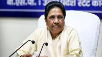 BSP demands nationwide caste census at all party meeting