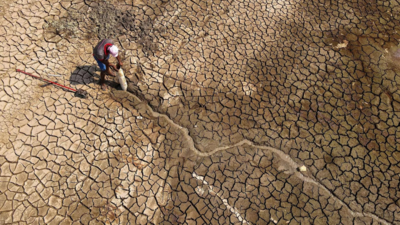 Impact of Amazon's climate-driven drought may last until 2026