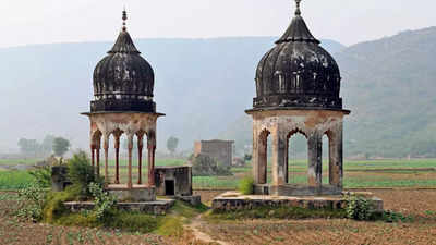 Once royal capital, village now has only two chhatris & a baoli