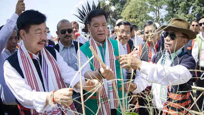 Arunachal government working to preserve, promote cultural heritage: Minister
