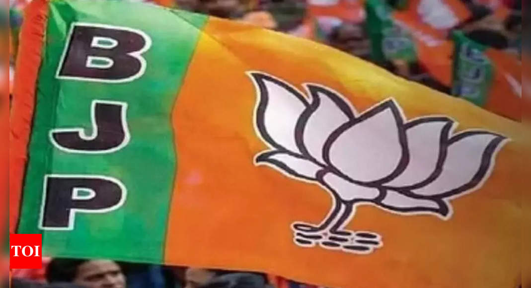 Rajasthan polls: BJP candidate Samaram wins Pindwara Abu seat | India ...