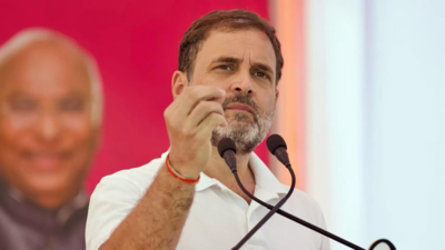 Rahul Gandhi concedes defeat in Hindi heartland states, says battle of ideology would continue there