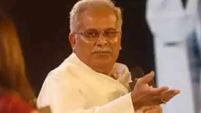 How paddy turned into bitter harvest for Congress in Chhattisgarh