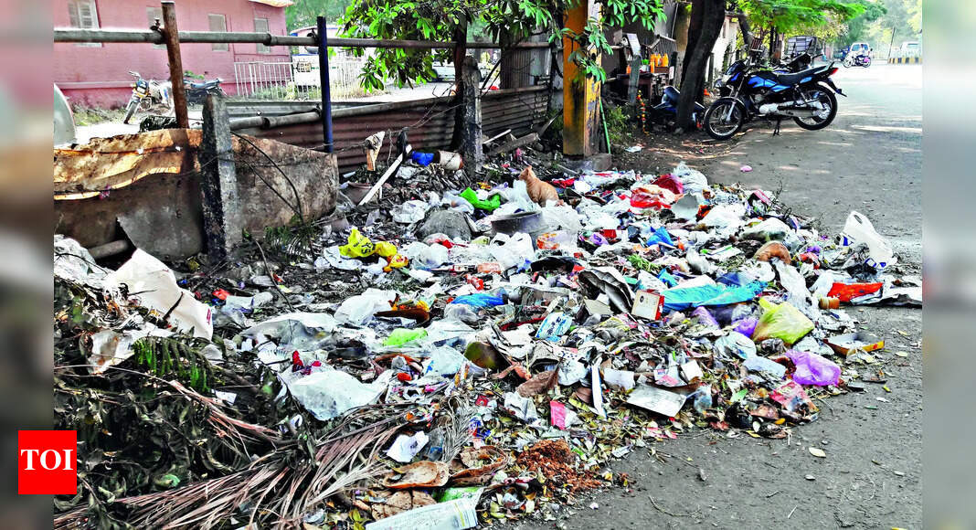 Slight improvement in Nashik city garbage black spot count | Nashik ...