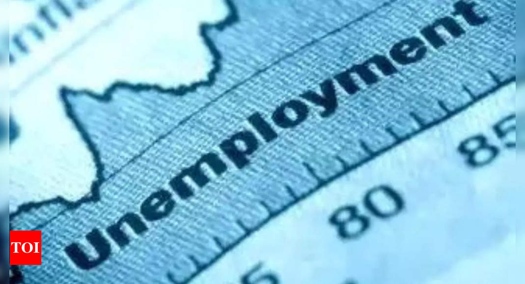 Survey: Himachal Pradesh, Rajasthan see highest youth unemployment rate in July-September – Times of India